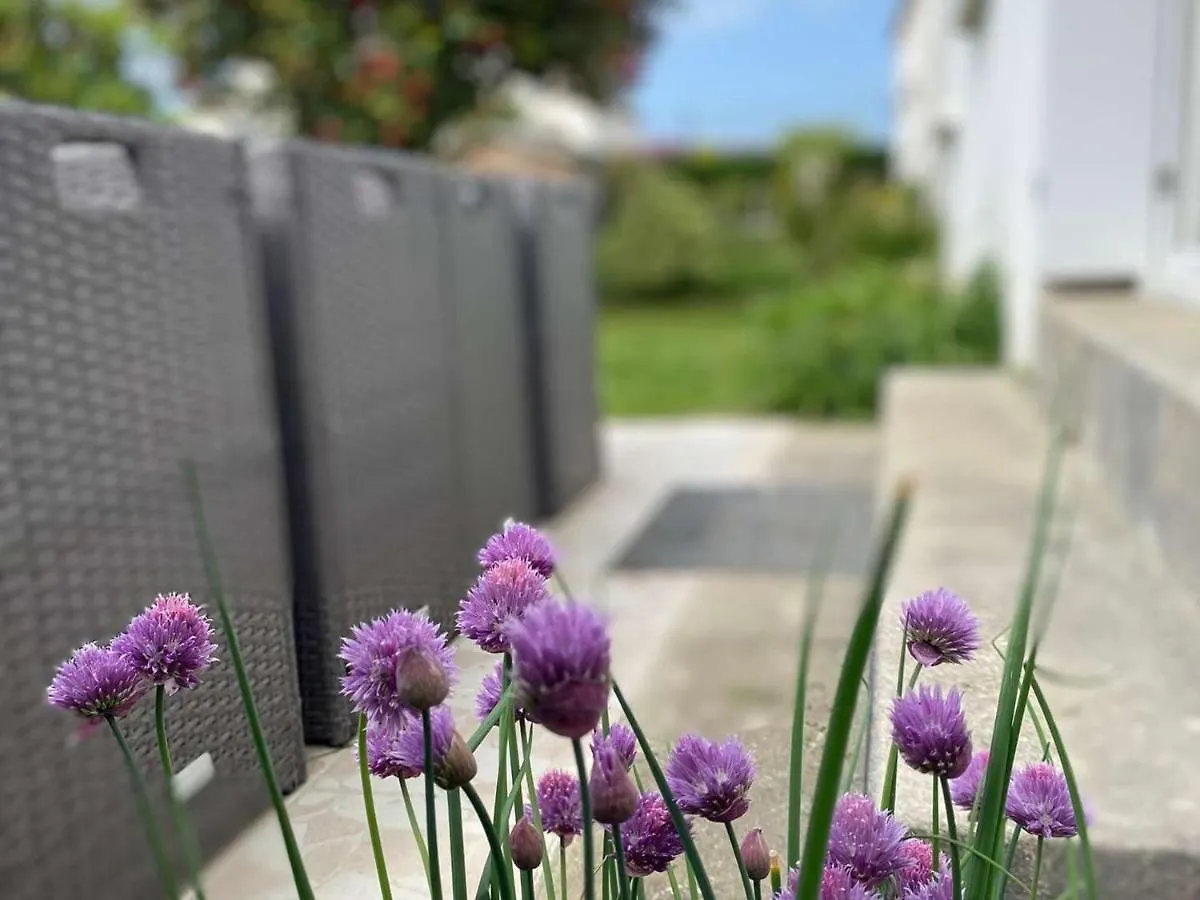 Appartement Jardin, Terrasse, Parking Prive, A 10 Min De La Plage, Proche Centre Benodet - Fr-1-481-114